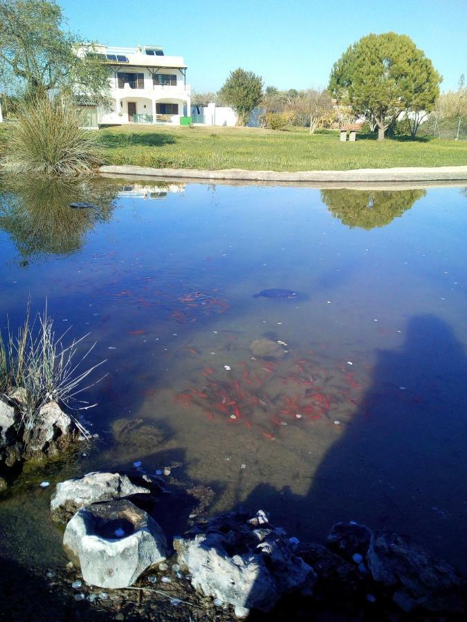 Вілла Quinta Toca Do Mocho Quelfes Екстер'єр фото
